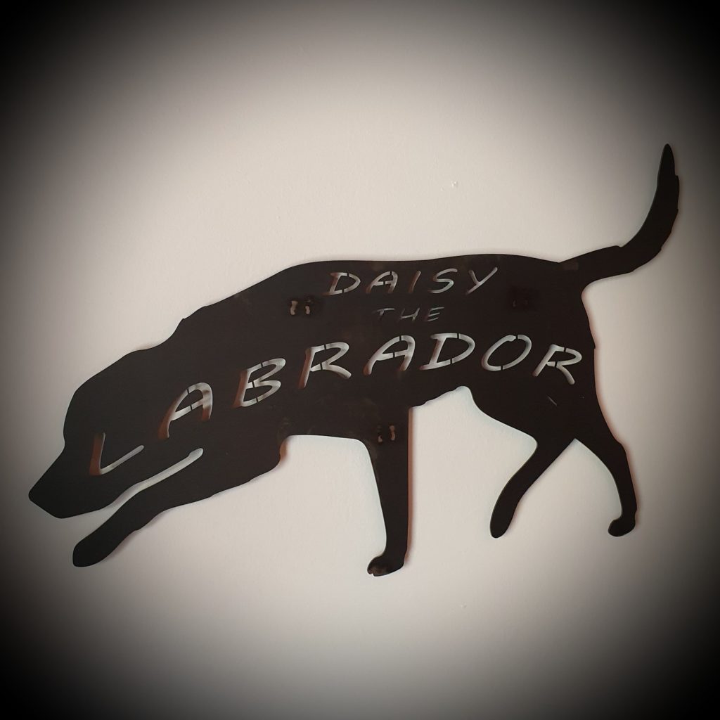 The labrador Daisy
ophæng på vægen
Lavet til en kunde  
